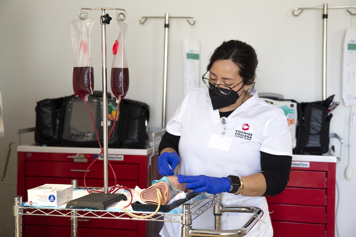 phlebotomy student