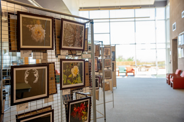 Art Display in Benson Center