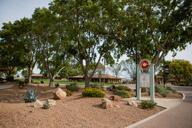 Douglas Campus Desert Landscaping